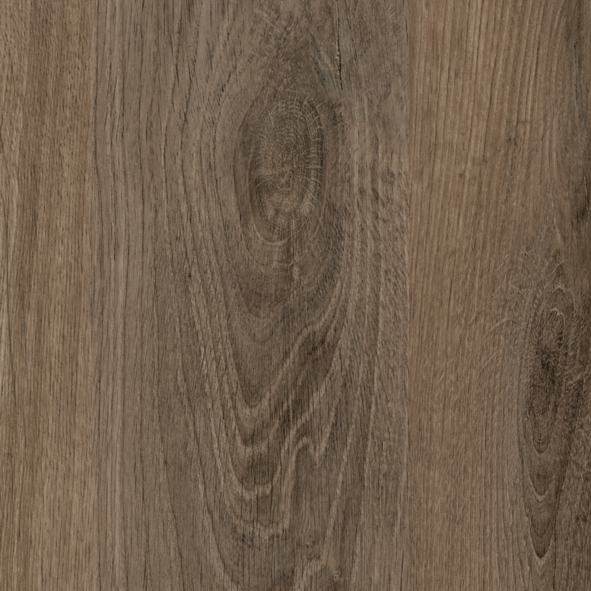 MirroFlex Door Skin Palomino Oak 48x84