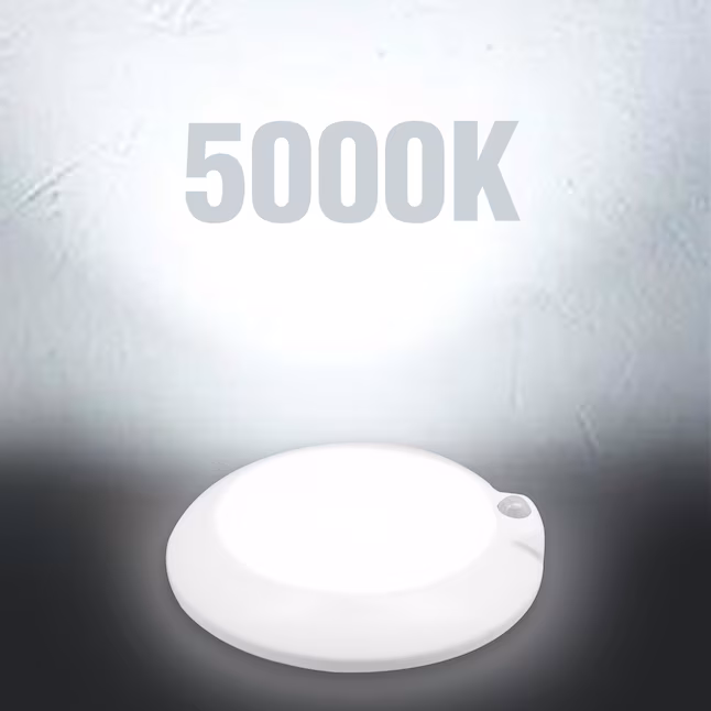 Ceiling Light 1 -Light 5.8-in White Integrated LED Flush Mount Light with Motion Sensor