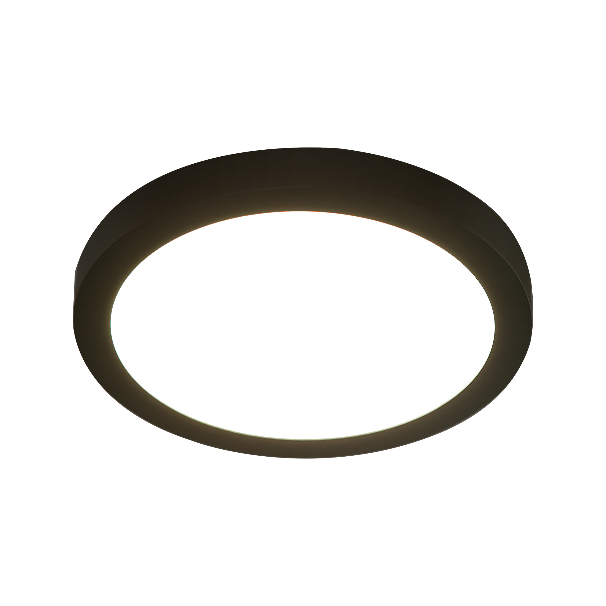 LED Ceiling Light 1 -Light 9.5-in Matte Black Integrated LED Flush Mount Light
