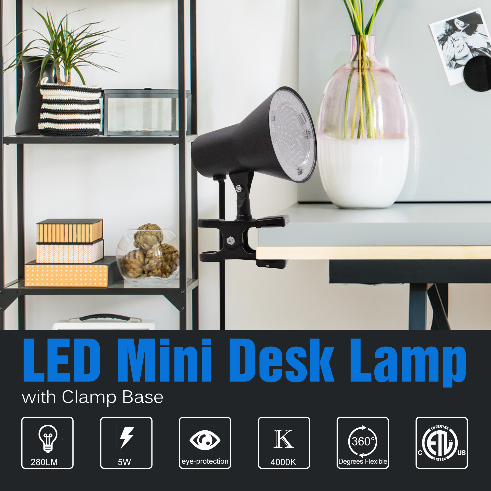 5-in Adjustable Black Clip Desk Lamp with Metal Shade